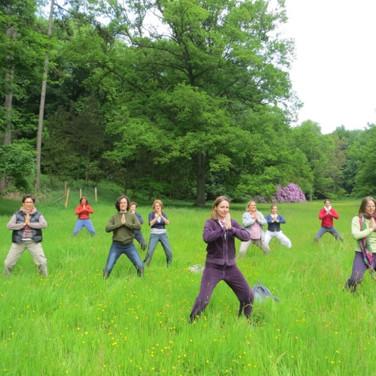 Hélène Petre anime une promenade méditative, énergétique avec des pauses de Qi gong