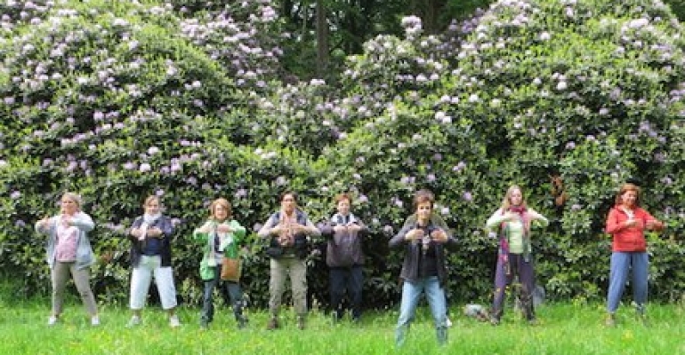 Hélène Petre anime une promenade silencieuse avec du qi gong